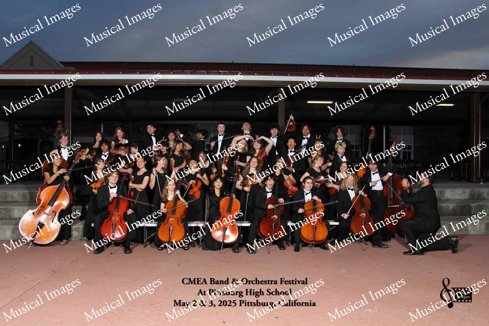Musical Images